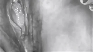 My Vintage Mixed Carnal knowledge Vids 4 - Featuring Unheard-of Ladies together with Men