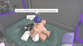 Pet